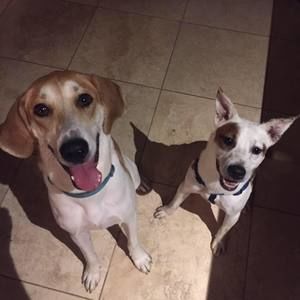 Meet your Posher, Stacey